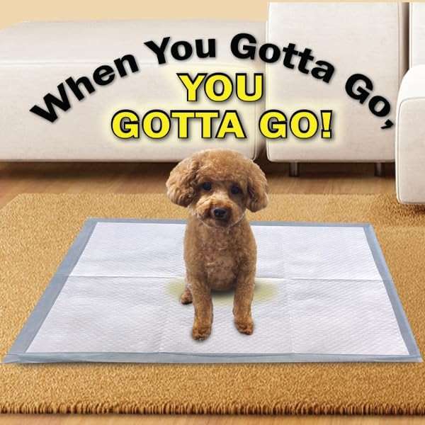 Scoochie Pets Large Dog Training Pads - 100 Pack Puppy Pads, 22 x 22 Absorbent Sheets for Adult & Young Pets - Convenient Box of Leak-Proof Pee Pads for Dogs, Ideal for Home & Travel - Image 8