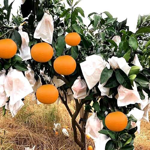 HouWanA Fruit Protection Paper Bags - 100pcs White Protection Covers 6.2x7.7inch, Orchard, Frost, Plants (16x20) - Image 3