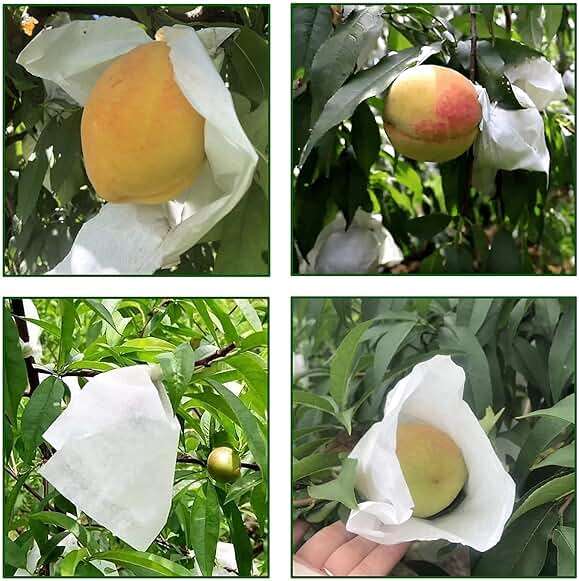 HouWanA Fruit Protection Paper Bags - 100pcs White Protection Covers 6.2x7.7inch, Orchard, Frost, Plants (16x20) - Image 4