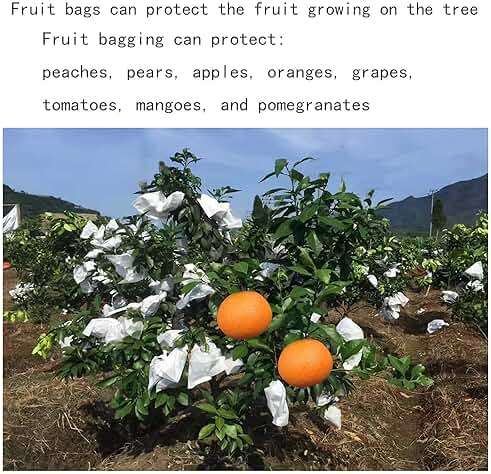 HouWanA Fruit Protection Paper Bags - 100pcs White Protection Covers 6.2x7.7inch, Orchard, Frost, Plants (16x20) - Image 9