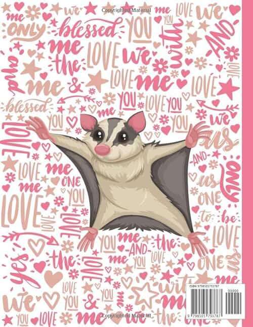Sugar glider Sketchbook: Cute Large Notebook for Drawing, Doodling, Sketching - Blank Paper 8.5 X 11 Inc - 110 Pages - Great Gift (Sugar glider Lovers) - Image 2