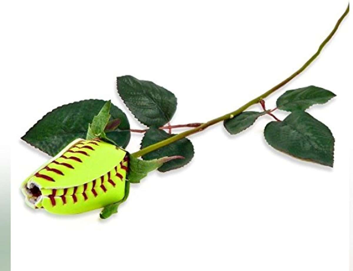 Kenz Laurenz Softball Rose - Sports Roses Flowers Gifts for Girls Mom Coach Team Players Dad Fathers Day - Image 3
