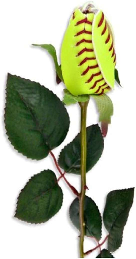 Kenz Laurenz Softball Rose - Sports Roses Flowers Gifts for Girls Mom Coach Team Players Dad Fathers Day - Image 4