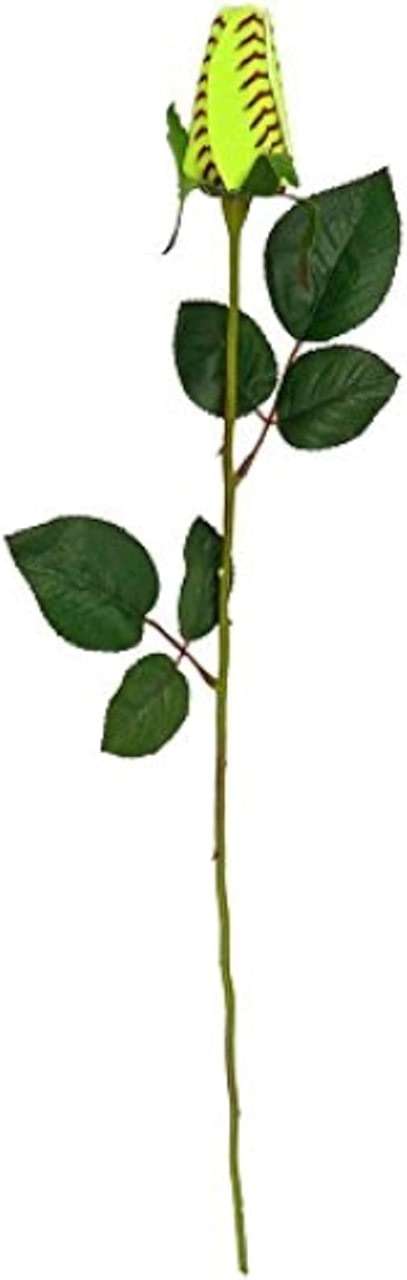 Kenz Laurenz Softball Rose - Sports Roses Flowers Gifts for Girls Mom Coach Team Players Dad Fathers Day - Image 5