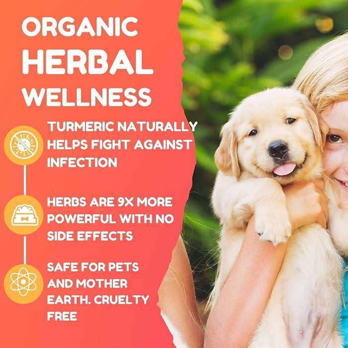 PetGlow Dog Ear Cleaner Infection for Yeast with Turmeric. Natural Ear Therapy eliminates Painful Ear infections, Odor, Wax, and Stops Chronic Ear Itch. - Image 3
