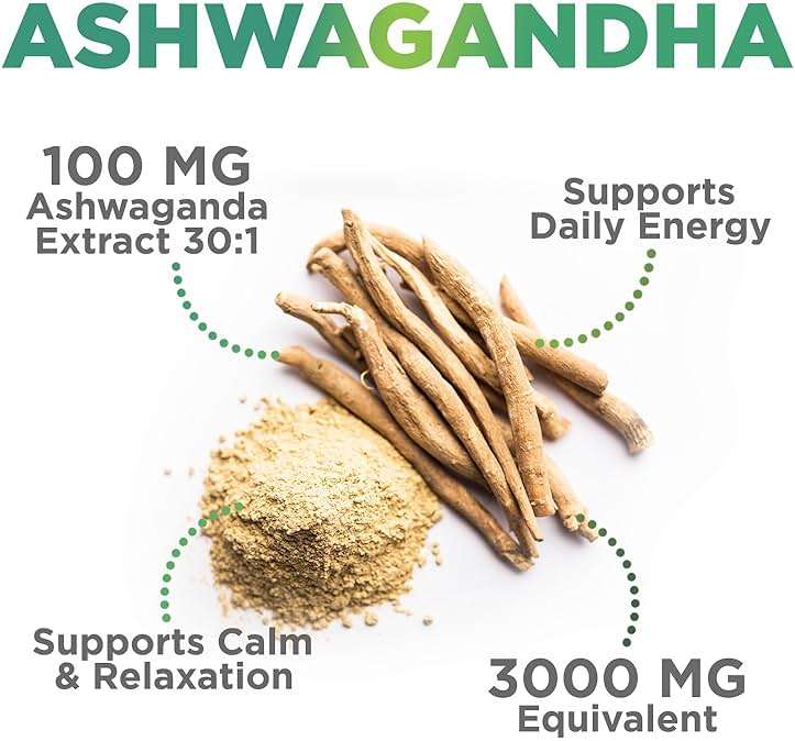 Ashwagandha Gummies - Advanced Ashwagandha Gummy Formula for Daily Use - Natural Antioxidant Support & Brain Health Support - Natural Calm, Relaxation, & Immune Support - Berry Flavor - 60 Gummies - Image 3