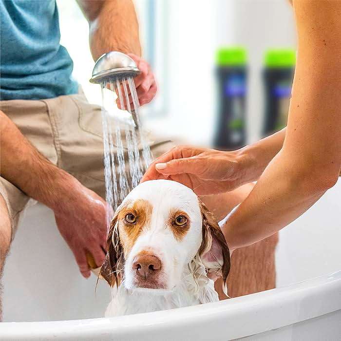 FURminator deShedding Kit, deShedding Shampoo, deShedding Conditioner, deShedding Waterless Spray, For Dogs, 40.5 oz (Set of 3) - Image 7