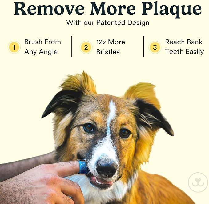 Jasper Dog Toothbrush, 360° Finger Toothbrush for Dogs & Cats, Removes 3x More Plaque, Teeth Cleaning Kit for Small & Large Pets, Toothpaste Not Included, 2-Pack with Storage Cases, Blue - Image 2