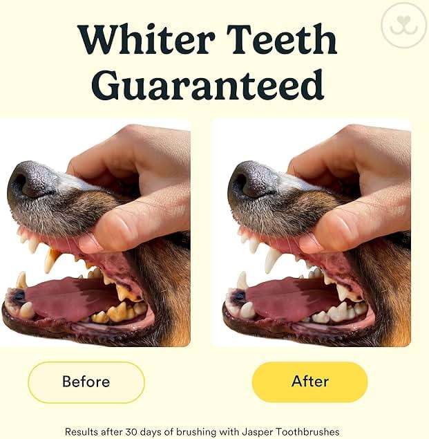 Jasper Dog Toothbrush, 360° Finger Toothbrush for Dogs & Cats, Removes 3x More Plaque, Teeth Cleaning Kit for Small & Large Pets, Toothpaste Not Included, 2-Pack with Storage Cases, Blue - Image 3