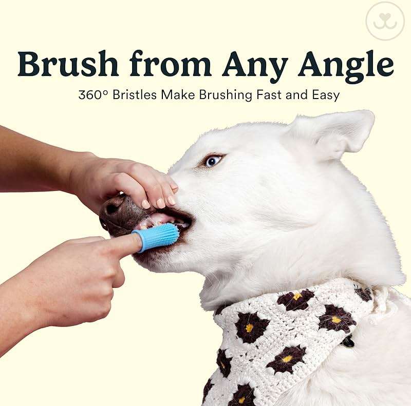 Jasper Dog Toothbrush, 360° Finger Toothbrush for Dogs & Cats, Removes 3x More Plaque, Teeth Cleaning Kit for Small & Large Pets, Toothpaste Not Included, 2-Pack with Storage Cases, Blue - Image 4
