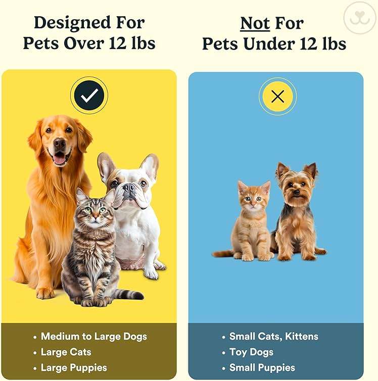 Jasper Dog Toothbrush, 360° Finger Toothbrush for Dogs & Cats, Removes 3x More Plaque, Teeth Cleaning Kit for Small & Large Pets, Toothpaste Not Included, 2-Pack with Storage Cases, Blue - Image 5