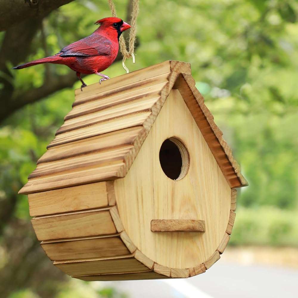 Bird House for Outside,Wood Birdhouses Outdoor, Wooden Bird House Bluebird Finch Cardinals Hanging Birdhouse for Garden Viewing - Image 2