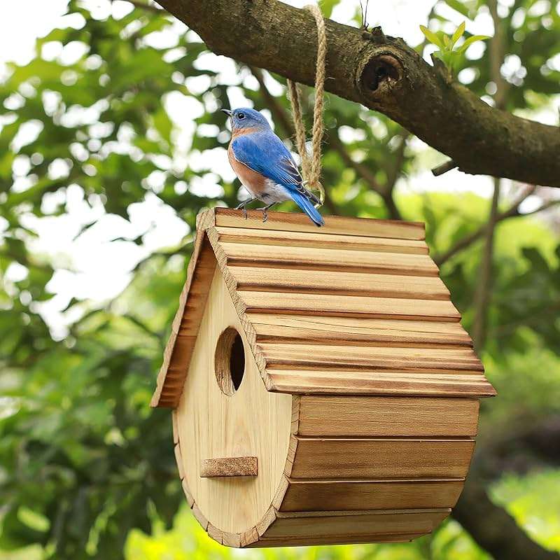 Bird House for Outside,Wood Birdhouses Outdoor, Wooden Bird House Bluebird Finch Cardinals Hanging Birdhouse for Garden Viewing - Image 3