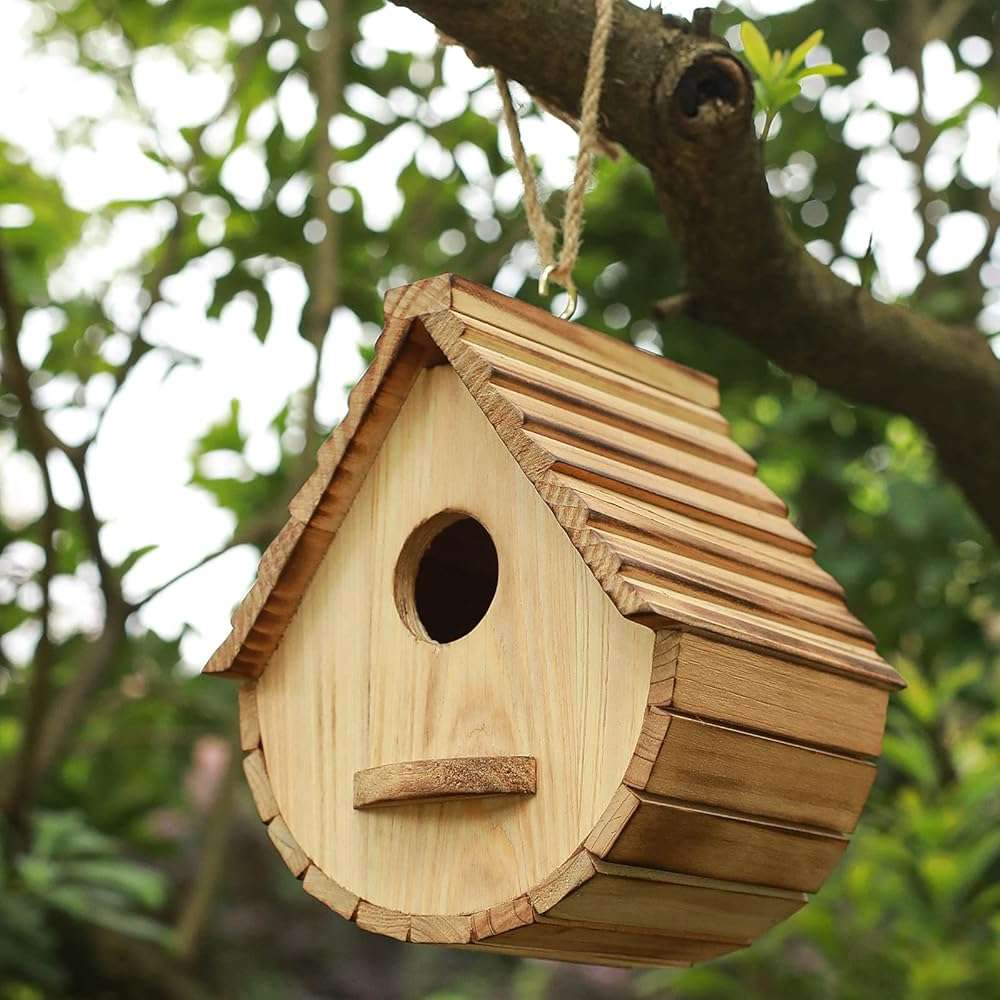 Bird House for Outside,Wood Birdhouses Outdoor, Wooden Bird House Bluebird Finch Cardinals Hanging Birdhouse for Garden Viewing - Image 4