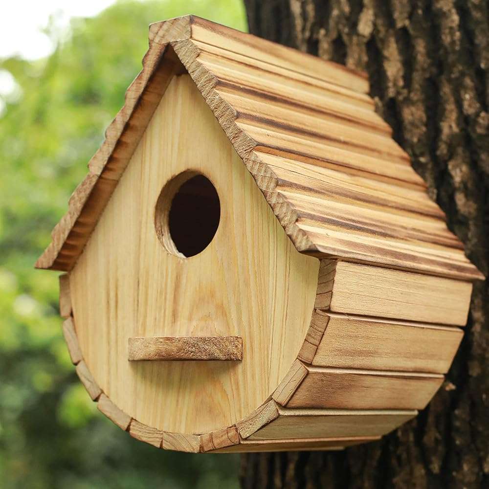 Bird House for Outside,Wood Birdhouses Outdoor, Wooden Bird House Bluebird Finch Cardinals Hanging Birdhouse for Garden Viewing - Image 7