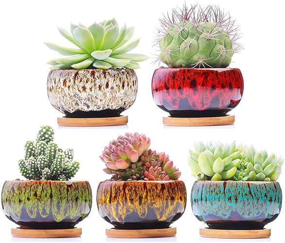 LamDawn Cute Ceramic Succulent Garden Pots, Planter with Drainage and Attached Saucer, Set of 5 -Plants Not Included (Round) - Image 1