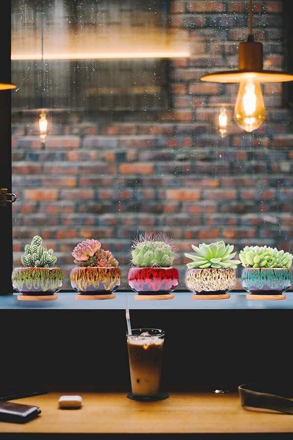 LamDawn Cute Ceramic Succulent Garden Pots, Planter with Drainage and Attached Saucer, Set of 5 -Plants Not Included (Round) - Image 4