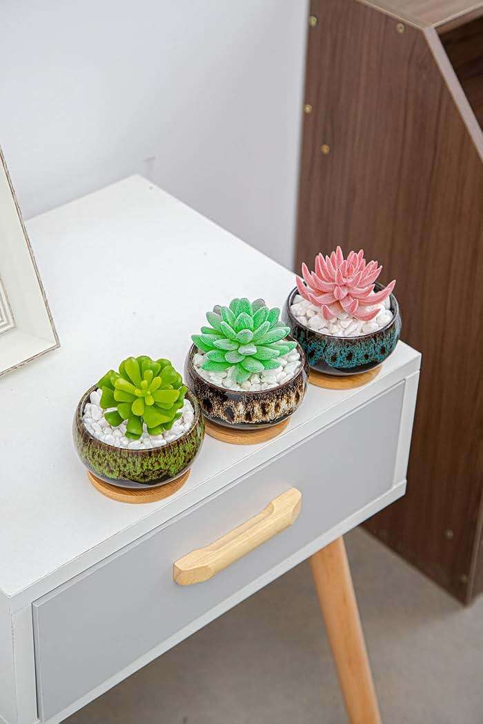 LamDawn Cute Ceramic Succulent Garden Pots, Planter with Drainage and Attached Saucer, Set of 5 -Plants Not Included (Round) - Image 7