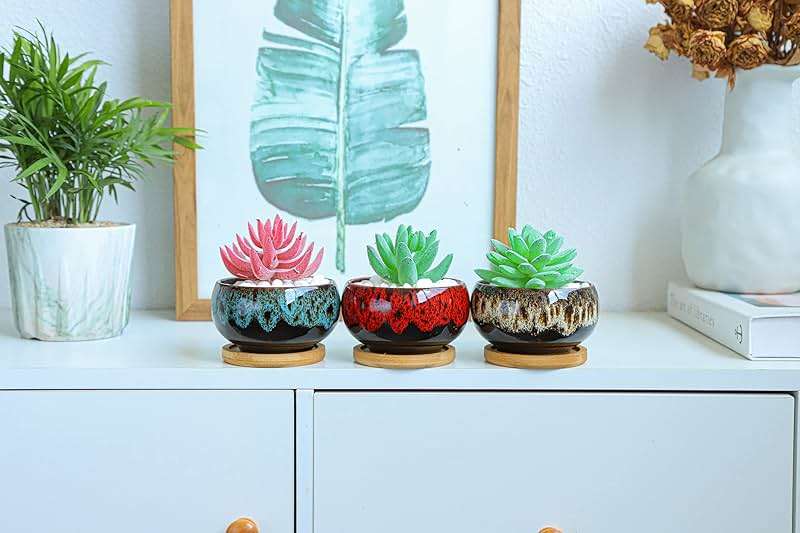 LamDawn Cute Ceramic Succulent Garden Pots, Planter with Drainage and Attached Saucer, Set of 5 -Plants Not Included (Round) - Image 8
