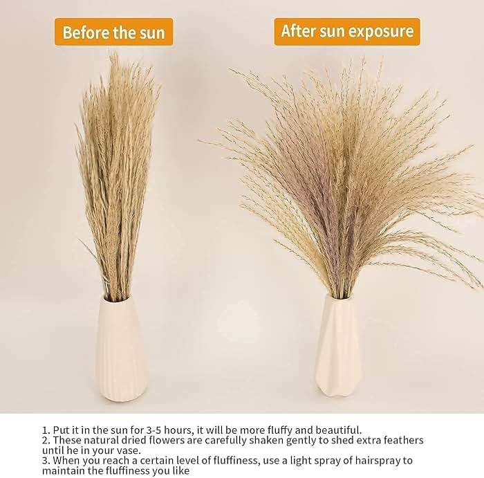 65PCS Pampas Grass Decor, Including pompas Floral, Reed Dried Grass and Bunny Tails Dried Flowers, Natural Dried Pampas Grass Bouquet for Boho Decor Wedding, Home Decoration - Image 3