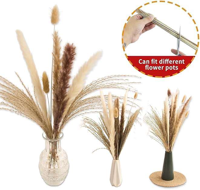 65PCS Pampas Grass Decor, Including pompas Floral, Reed Dried Grass and Bunny Tails Dried Flowers, Natural Dried Pampas Grass Bouquet for Boho Decor Wedding, Home Decoration - Image 5