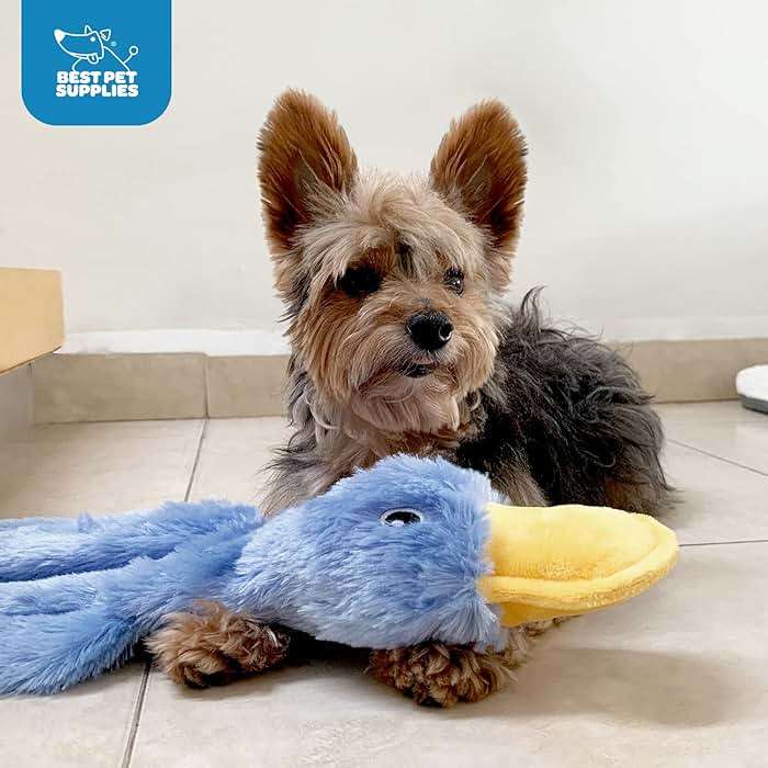 Best Pet Supplies Interactive Squeaky Dog Chew Toy, Ideal Dog Toys for Chewers, Small, Medium & Large Dogs, and Fetch Lovers - Crinkle Duck (Yellow), Large - Image 5