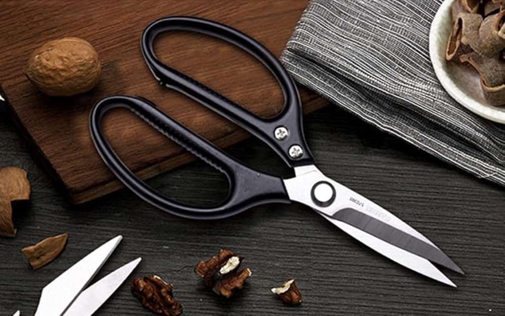 Edward Kitchen Scissors - Heavy Duty Stainless Steel Scissors for Meat, Cooking, Herbs - Dishwasher Safe (1, Black) - Image 2
