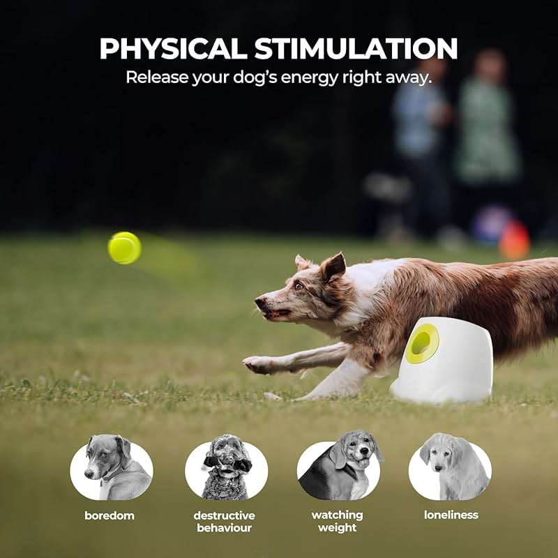 ALL FOR PAWS Automatic Dog Ball Launcher for Medium to Large Dogs, Interactive Tennis Ball Thrower, Rechargeable Dog Toy Mental Stimulation Training Game for Energetic Dogs - Image 3