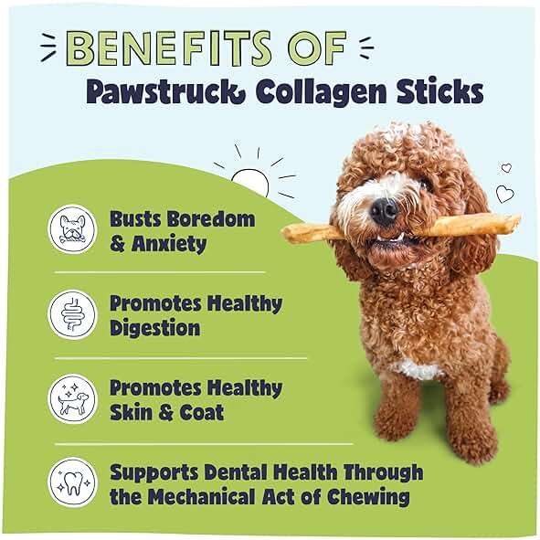 Pawstruck Natural Large 12" Beef Collagen Sticks for Dogs – Long-Lasting Rawhide Alternative, High Protein Treats with Chondroitin & Glucosamine – 5 Pack - Image 2