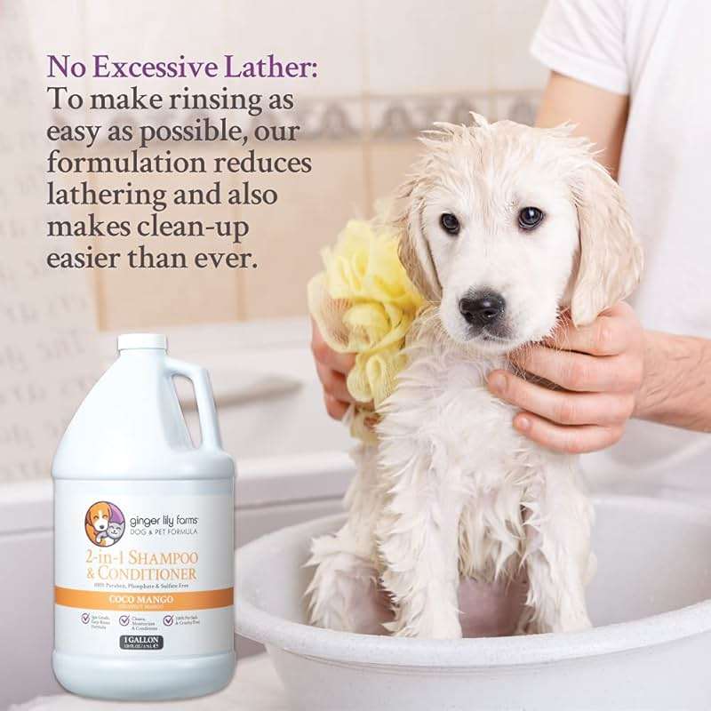 Ginger Lily Farms Dog & Pet Formula 2-in-1 Shampoo & Conditioner, 100% Vegan & Cruelty-Free, Coco Mango, 1 Gallon Refill (128 fl oz) - Image 6