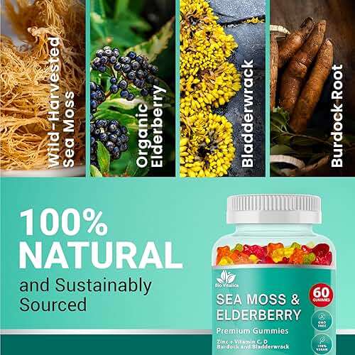 BIO VITALICA Irish Sea Moss Gummies with Elderberry – USA Made Vegan Gummies with Vitamin C, D & Zinc – Immune Support Supplement with Bladderwrack & Burdock Root for Adults & Kids – 60 Count - Image 2