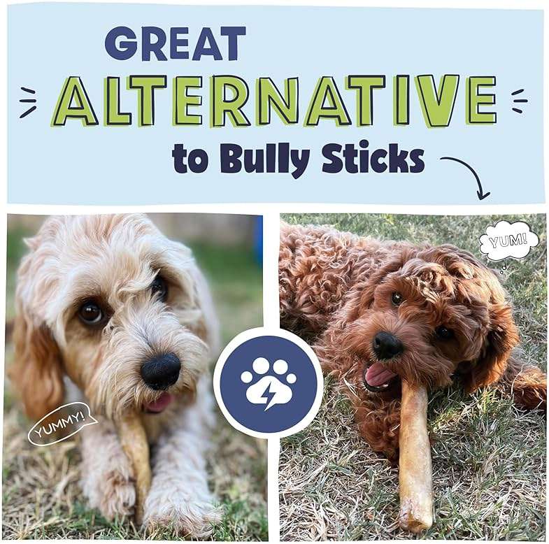 Pawstruck Natural 5-7" Beef Collagen Sticks for Dogs – Long-Lasting Rawhide Alternative, High Protein & Low Fat with Chondroitin & Glucosamine – 5 Pack - Image 5