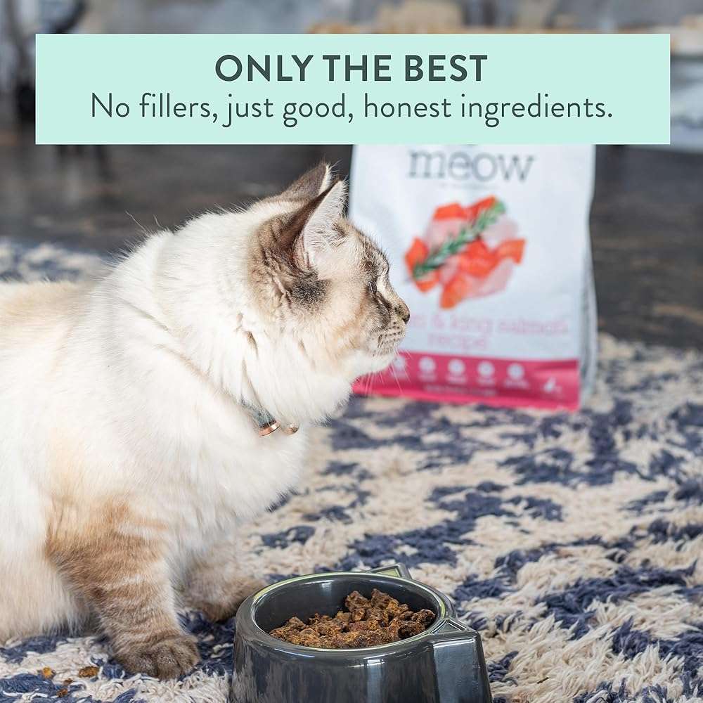The New Zealand Natural Pet Food Co. Meow e - Chicken & King Salmon Recipe, Dry Cat Food Use as a Complete Diet, Topper, Mixer, or as Cat Training Treats, All Life Stages, 3.5 oz - Image 7