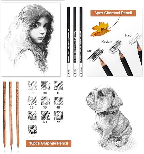 YunQiDeer Drawing Pencils, Art Supplies Sketch Pencils Kit for Kids Adults, Professional Charcoal Sketching Graphite Art Pencils Set - Image 5