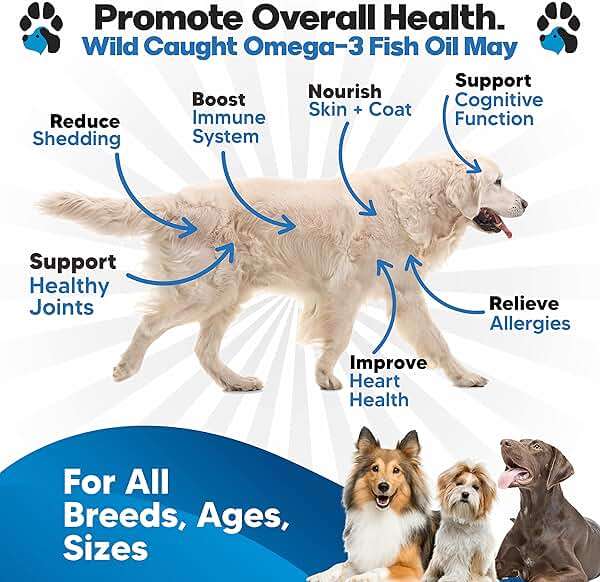 Omega 3 Fish Oil for Dogs - Better Than Salmon Oil - Dog Fish Oil Supplement to Reduce Shedding & Itching - Supports Joints, Brain, and Heart Health - Skin and Coat Supplement - Liquid Fish Oil - Image 2