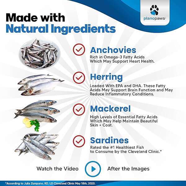 Omega 3 Fish Oil for Dogs - Better Than Salmon Oil - Dog Fish Oil Supplement to Reduce Shedding & Itching - Supports Joints, Brain, and Heart Health - Skin and Coat Supplement - Liquid Fish Oil - Image 6