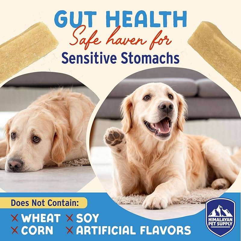 Himalayan Dog Chew Yogurt Sticks, Plain Flavored, Dog Treats With Prebiotics, Probiotics & Protein, Digestive Support, Lactose & Gluten Free, Natural Dog Treat for All Breeds, Made in America, 5 Count - Image 5