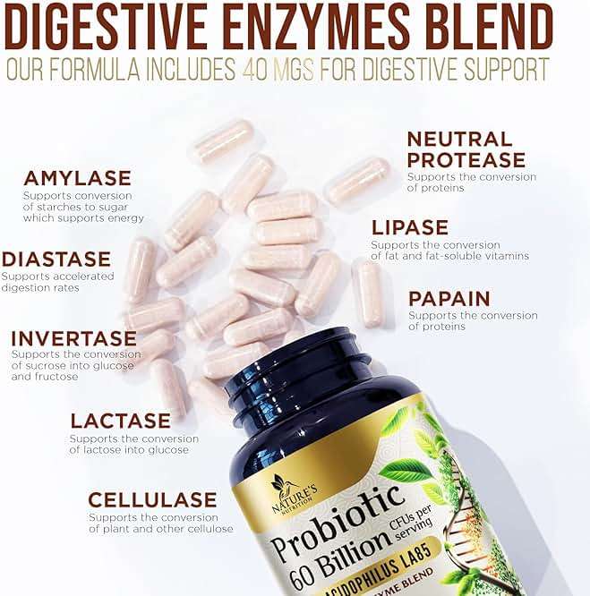 Premium Probiotics - 100 Billion CFU Per Serving - 10 Strains + Prebiotics - Best Women & Men's Gut Health Supplement, Supports Immune - Digestive Health & Occasional Constipation & Gas - 60 Capsules - Image 5