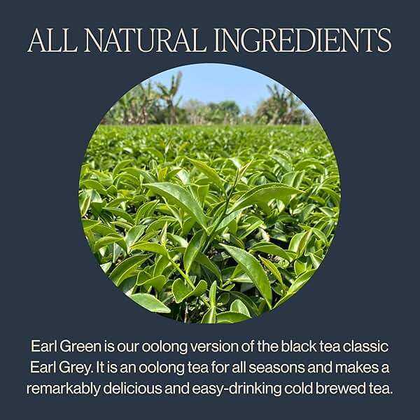 Rishi Tea Earl Japanese Green Tea with Bergamot - Organic & Low Caffeine Sachet Bags - 15 Count (Pack of 1) - Image 3