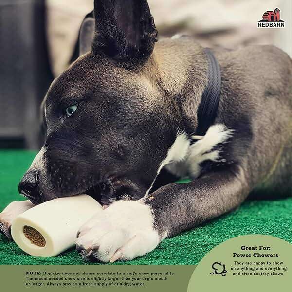 Redbarn Pet Products Small Filled Dog Bones, Peanut Butter Flavor - Long Lasting Stuffed Femur Chew Treat Made in USA - 4 Count - Packaging May Vary - Image 3