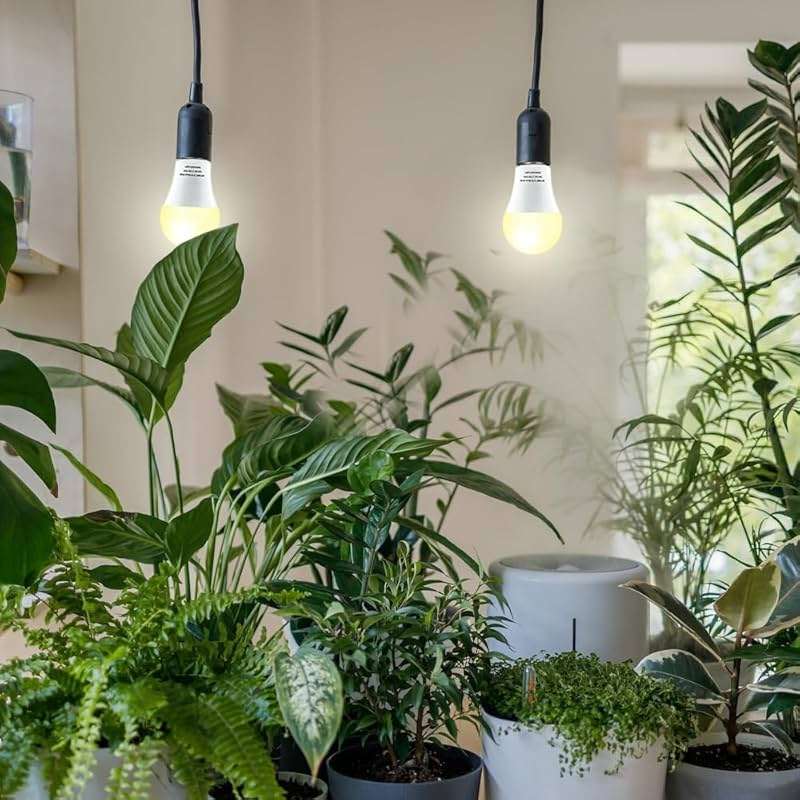 mfxmf 2 Pack LED Grow Light Bulbs A19 Bulb, Full Spectrum Plant Light Bulb, 9W E26 Grow Bulb Replace up to 80W, Grow Light for Indoor Plants, Flowers, Greenhouse, Indore Garden, Hydroponic - Image 4