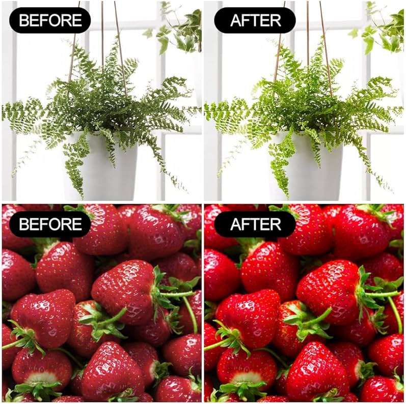 mfxmf 2 Pack LED Grow Light Bulbs A19 Bulb, Full Spectrum Plant Light Bulb, 9W E26 Grow Bulb Replace up to 80W, Grow Light for Indoor Plants, Flowers, Greenhouse, Indore Garden, Hydroponic - Image 7