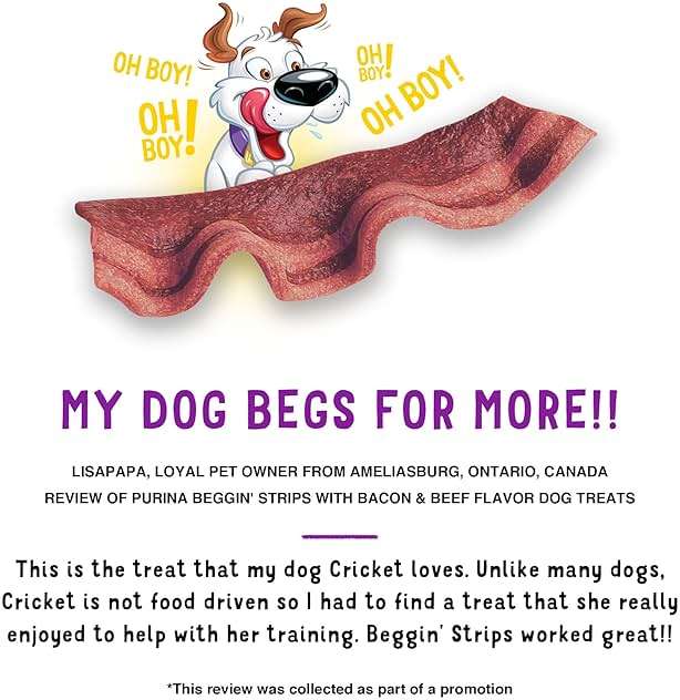 Purina Beggin' Strips With Real Meat Dog Treats With Bacon and Beef Flavors - (Pack of 2) 26 oz. Pouches - Image 7