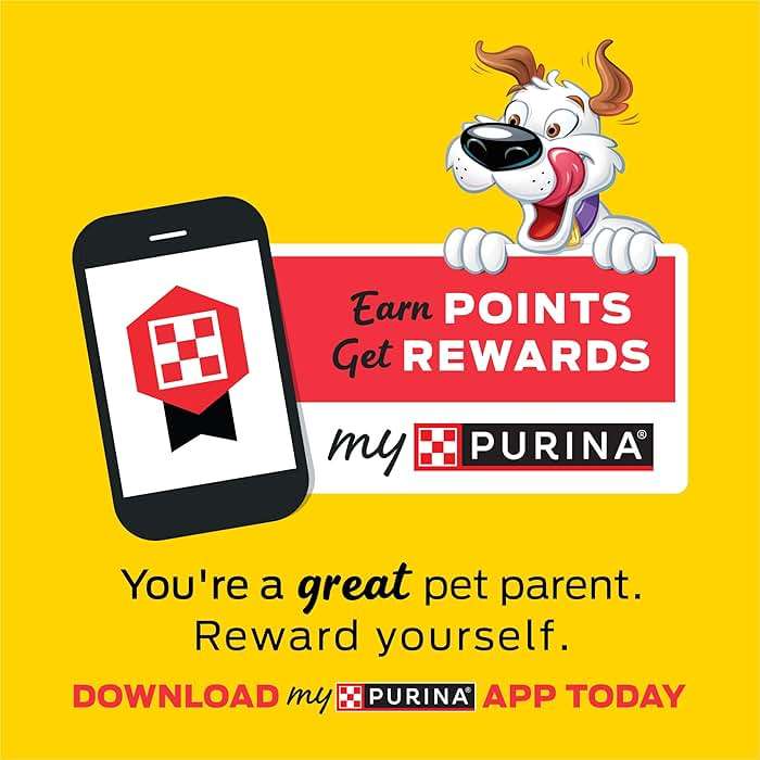 Purina Beggin' Strips With Real Meat Dog Treats With Bacon and Beef Flavors - (Pack of 2) 26 oz. Pouches - Image 8