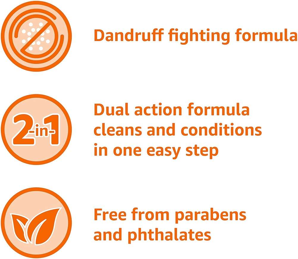 Amazon Basics 2-in-1 Anti-Dandruff Shampoo and Conditioner for Itchy Scalp, Scalp Care, Gentle, pH Balanced, Paraben-Free, Safe for All Hair Types, 12.5 Fl Oz, 6-Pack (Previously Solimo) - Image 6