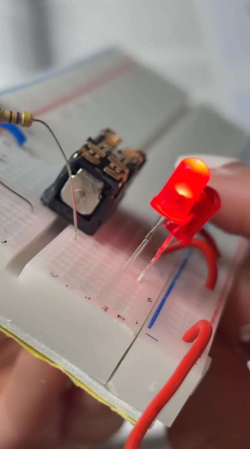Make: Electronics 3rd Ed Kit 1 Economy - Beginner, Intermediate, & Advanced (Teen - Adult) Component Pack for The Experiments in Make: Electronics 3rd Ed by Charles Platt - Covers Sections 1-3 - Image 5