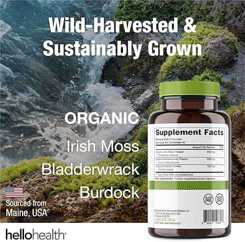 HELLO HEALTH Irish Sea Moss Capsules Wildcrafted Sea Moss, Burdock Root & Bladderwrack Prebiotic Super Food for Immune Support, Thyroid Support, Natural Energy, -120 Caps - Image 2