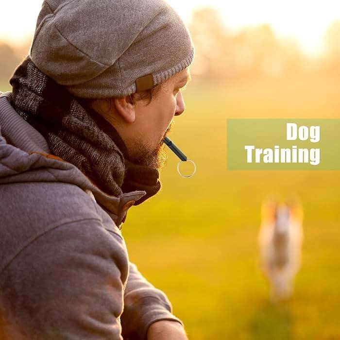 Frienda Emergency Whistle Bulk with Keychain, Aluminum Emergency Survival Whistle for Camping Hiking Hunting Outdoors Sports, Loud Sound - Image 3