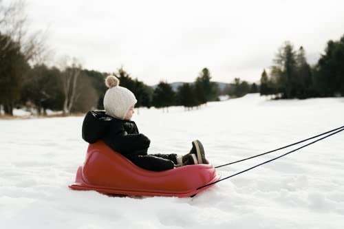 Pelican Baby Sled Deluxe with Weather Shield - Toddler Sled for Snow, Durable for Winter Sledding - Ages up to 24 Months - Image 4