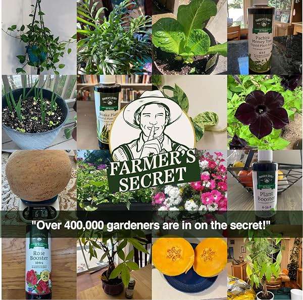 Farmer’s Secret Fruit & Bloom Booster Fertilizer - Super Concentrated - Boosts Flowering and Yield on All Varieties of Fruits, Vegetables and Flowers (8oz) - Image 6